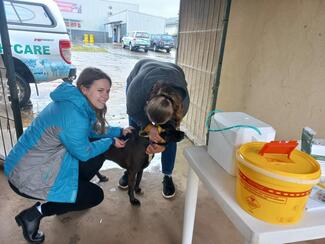 Riviersonderend Rabies Vaccination Campaign