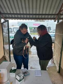 Riviersonderend Rabies Vaccination Campaign