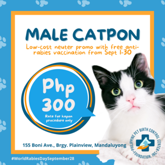 Poster with photo of ear-tipped cat and texts that read Male CATpon Low-cost neuter program with free anti-rabies vaccination from September 1-30