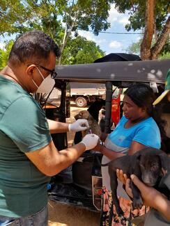 Vaccinating