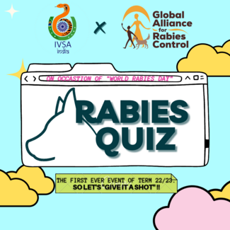 Rabies quiz announcement 