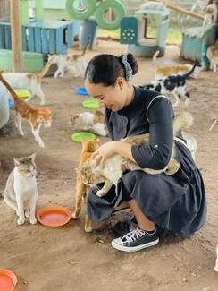 This image reflects on “PET’S SHELTER VISIT”