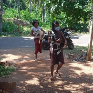 Villages bringing their pets to the vaccination program
