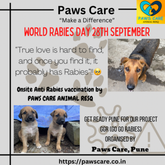 Anti Rabies Vaccination Project (GGR)