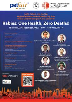 FAVA-WRD 2022 webinar poster