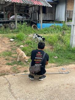 Catching dogs for sterilization