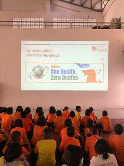 Teaching children about animal welfare and Rabies