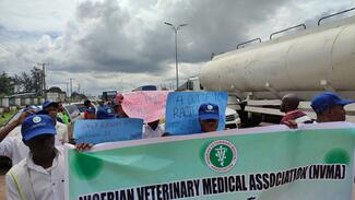 Rabies Awareness Road Walk in by Nigeria Veterinary Medical Association NVMA - Imo Chapter in collaboration with Senior Secondary School Students of Government Technical College Owerri; members of Imo Kennel Club; and members Dog Breeders Association, Imo 