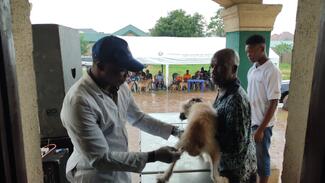 Free Antirabies Vaccination of Pets at State Veterinary Clinic Egbu Road, Owerri by a Veterinary Doctor