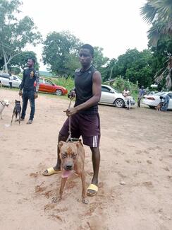 dog owners bringing their dogs for free anti rabies vaccination