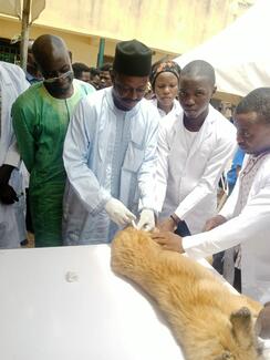 Flagging-off Vaccination by Director Veterinary Services Taraba State Nigeria