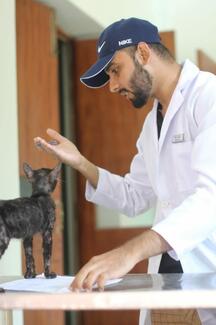 one team member interacting with Cat