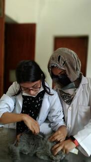 Vaccine Administration