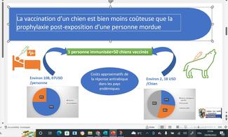 Importance de prioriser la vaccination de masse de chiens en lieu et place de la prophylaxie post-exposition