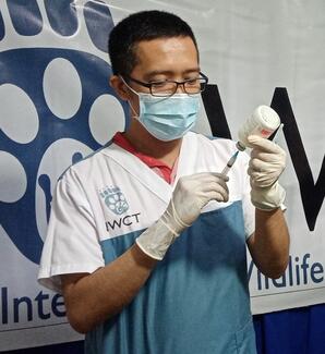 IWCT team administering the rabies vaccination