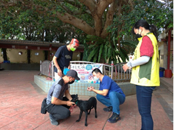 Free rabies vaccination activity