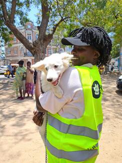 Taking a shoulder ride on one of our volunteers after getting a rabies jab