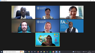 Participation au webinaire organisé par @FAO_livestock, le 28 octobre 2022