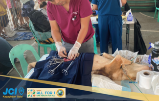 Dr. Chris of CdeO City Veterinary Office performing surgical operation at the Brgy. Macabalan, Cagayan De Oro City.
