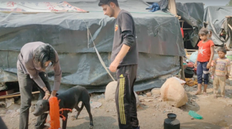 Vaccinating Dogs in local slum area