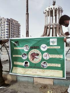 Information banners on rabies put up across the city