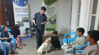Educating primary school children on animal welfare, rabies and how to treat dogs with compassion