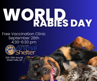 World Rabies Day Free Vaccination Clinic