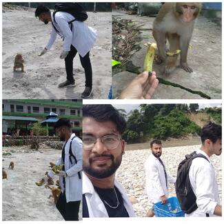 Hunger Relief Campaign - For Monkeys at Devghat Chitwan  & Also in Animal Shelter