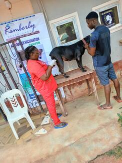 Free vaccination at Kimberly vets, enugu