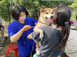 Free rabies vaccination.