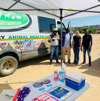 Collaborating with the animal health technicians on vaccination day
