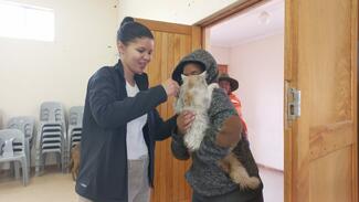 Kamasies vaccination Dr Simone Jacobs