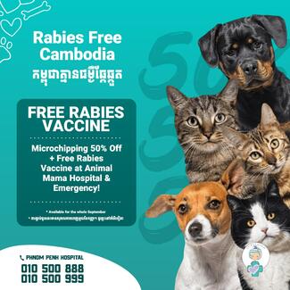 Free Rabies and 50% off microchip