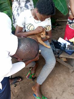 Rabies vaccination