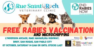Rue Saint-Roch Veterinary Clinic 3rd Year Anniversary: Free Rabies Vaccination and Microchipping