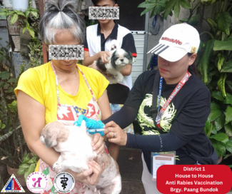 House to house Anti Rabies Vaccination