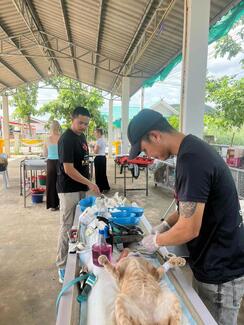 Spey and vaccine clinics