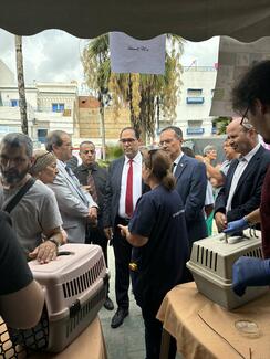 Visit of the Minister of Agriculture, Water Resources, and Fisheries