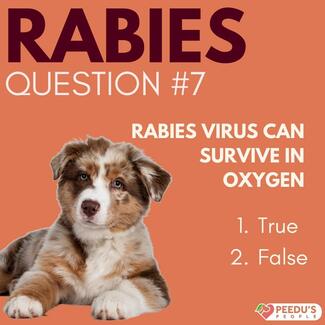 Screenshot of the questions used for the quiz on rabies