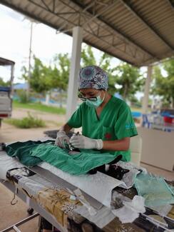 Spey and Vaccine Clinics