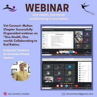 Rabies Awareness Webinar