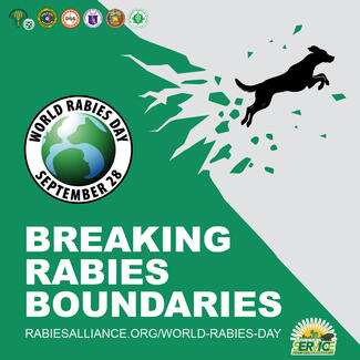 Breaking Rabies Boundaries