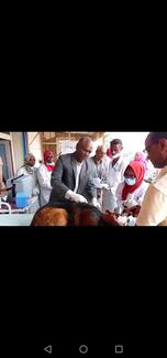 Vaccination activities