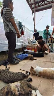 Pet owners patiently wait as their spayed/neutered pets recover from anesthesia