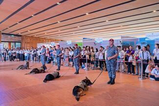 Demonstration of dog skills by the Royal Thai Air Force's Air Police unit