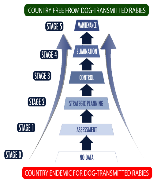 The SARE pathway of progressions from Stage 0 where little rabies data is available to Stage 5 where dog rabies is eliminated.