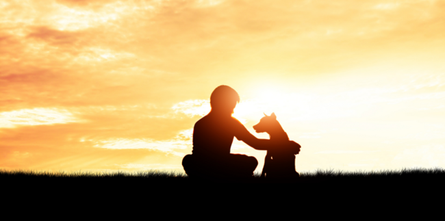 Communities Against Rabies dog and boy