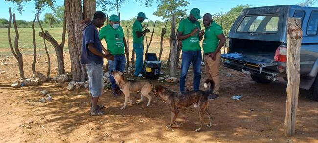 Rabies kill three in Zvimba - New Ziana