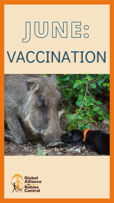 GARC Monthly theme - June: Vaccination