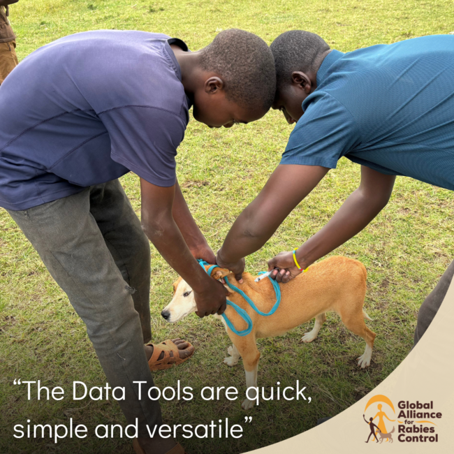 Mara North Conservancy Rabies Project dog vaccination using GARC data tools